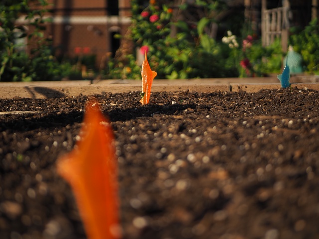 Garden Fishmarkers
