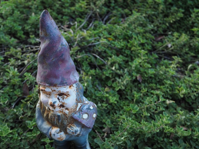 Garden Herbgnome